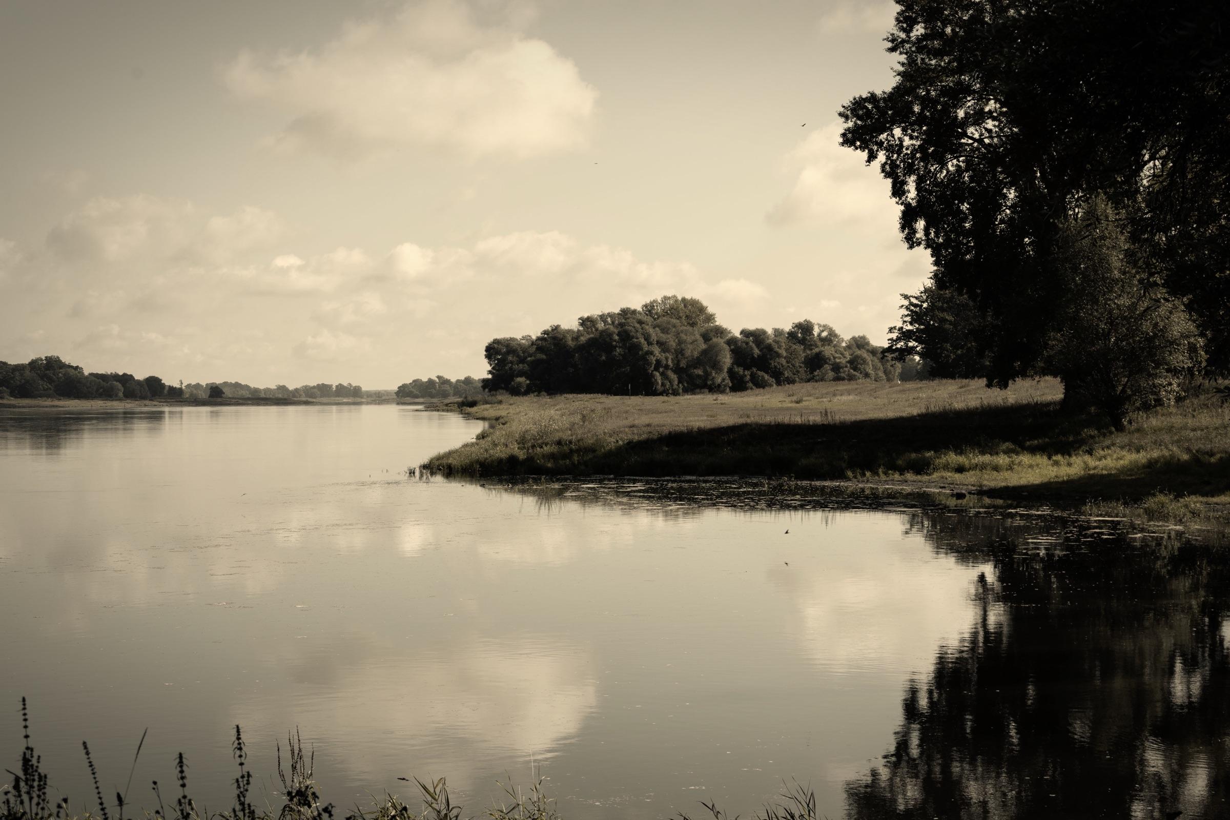 An der Elbe
